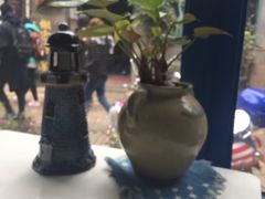 -Anne猫窝咖啡屋