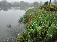 -长兴太湖图影湿地文化园