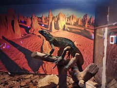 -正佳自然科学博物馆