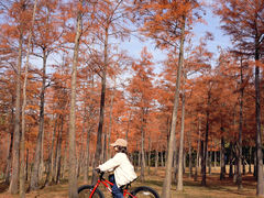 -聚龙山公园