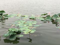 -尚贤河湿地