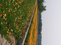 -江苏三台山国家森林公园