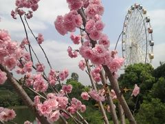 -观澜湖生态运动公社