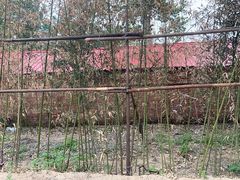 -秦皇岛野生动物园