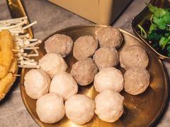 -Darling Queen·Mini·Live·House