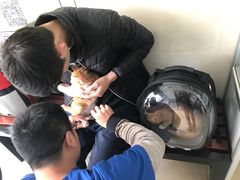 -宠福鑫动物医院(立水桥分院)