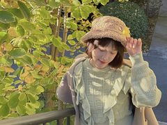 -三里屯东五街银杏大道