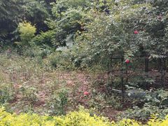 -人民公园(罗湖区)