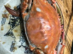 -77号渔船·蒸海鲜青岛菜(积米崖店)