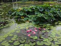 -国家植物园南园