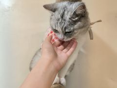 -共舞时光猫咖·狗咖(新街口店)