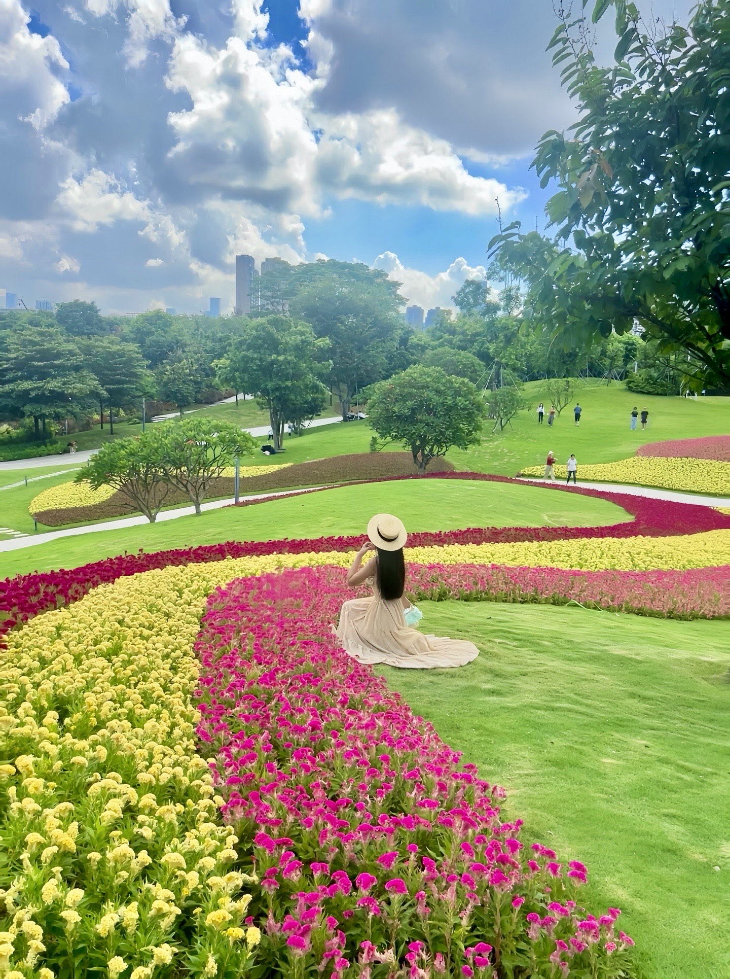 深圳花海旅游景点图片