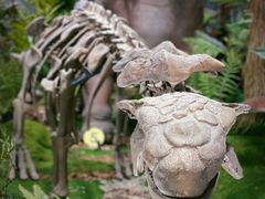 -遇见博物馆(遇见海洋沉浸式奇幻光影展)