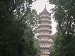 -灵谷景区