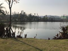 -枫香湖儿童公园