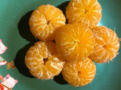 -唐猫庭院·千年陕菜(大唐不夜城店)