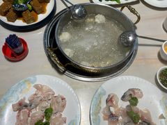 -港升鱼师傅·中山脆肉鲩