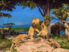 -国家自然博物馆