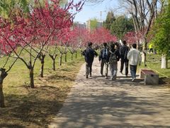 -河北省园博园