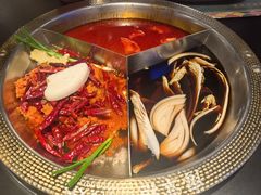 -廖掌柜·重庆鲜货火锅(上海首店)