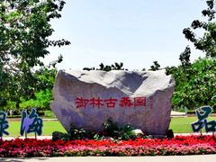-御林古桑园
