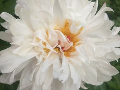 -长春公园(普阳街道)