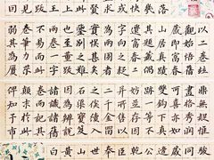 -万达广场(武汉菱角湖店)