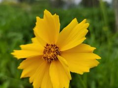 -山茶云南菜(永安里店)