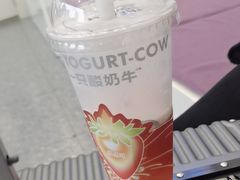 -一只酸奶牛(洪崖洞11楼店)