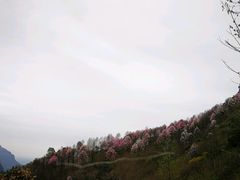 花溪景-九皇山景区