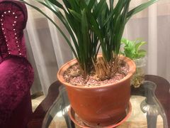 -聚宝渔港.五钻酒家(上地店)