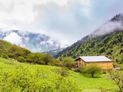 -黄龙山原始森林景区