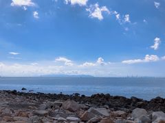 -野狸岛