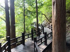 -北京植物园南门售票处