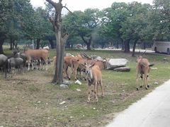 -西安秦岭野生动物园