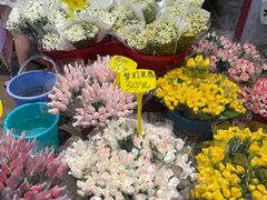 -循礼门鲜花花市(武汉循礼门店)