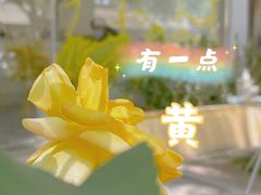 -五进制 Coffee Shop
