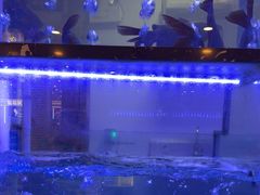 -云中鱼蒸汽石锅鱼(川沙百联店)