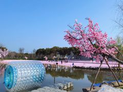 -上海杨姆庄园
