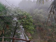 -鹿院坪生态旅游景区