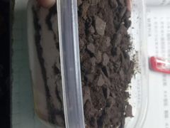 -华东政法大学第二食堂(松江校区)