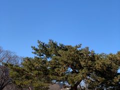 -景福宫