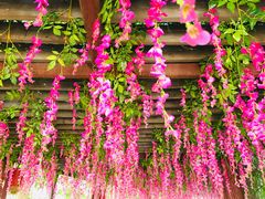 -西安汉城湖景区