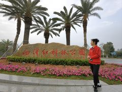 -宝安西湾红树林湿地公园