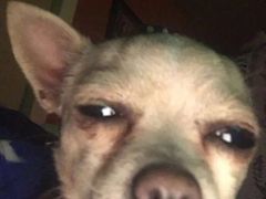 -Doors独立剧情密室(东门分店)