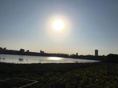 -浔庐餐厅•江西老字号•九江菜(南湖国际店)