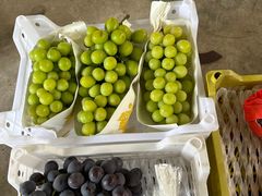 -马陆小张葡萄园农家乐