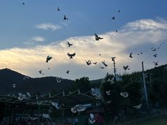 -瓷天下海丝谷