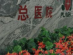-中国人民解放军总医院(301医院)