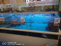 水产区-至尊强仔(正光北街店)